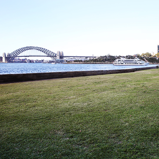 Lookes Avenue Reserve sea view